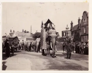Parade av elefanter, ca 1905