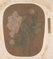 Peonblomst og blader.