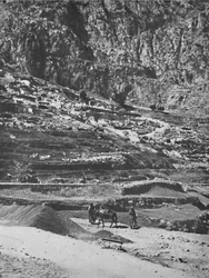 Stedet for det berømte oraklet, Delphi, 1913