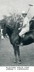 Playng Polo for Lords v Commons, c1930 1937