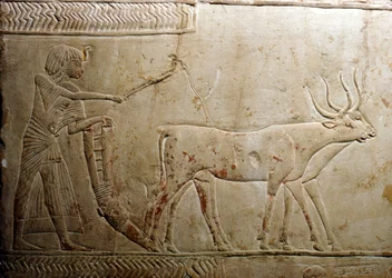 Pløying fra en egyptisk stele, 18. dynasti, 1332-1323 f.Kr.