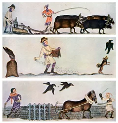 Pløying, såing og harving, c1300-1340, c1900-1920