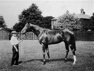 Polarstjerne, 1911