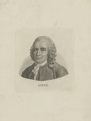 Portrett av Carl Linné 1707-1778, ca. 1780.