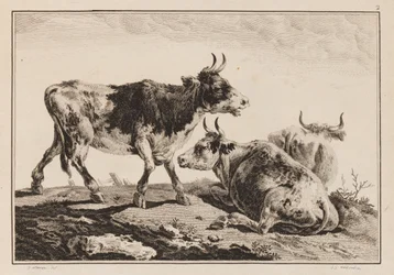 Print (Frankrike)
