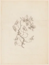 Print (Frankrike)