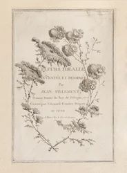 Print (Frankrike)