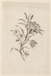 Print (Frankrike)