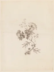 Print (Frankrike)