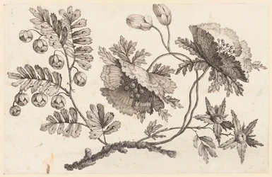 Print (Frankrike)
