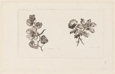 Print (Frankrike)