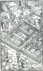 Produsere salt ved å fordampe sjøvann i saltpanner, 1556
