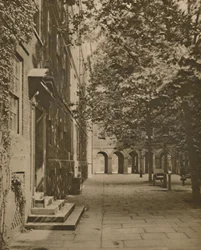 Pumpebane i sitt sommerplagg av blader og sollys, c1935.