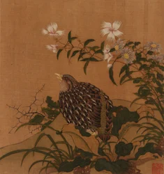 Vaktel og blomster, Qing-dynastiet, 1700-tallet.