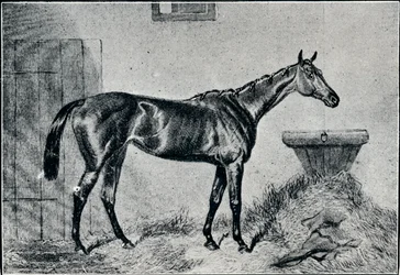 Dronning Bertha, 1800-tallet, 1911