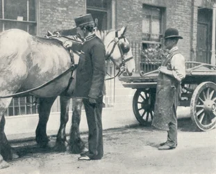 RSPCA-inspektør undersøker en hest, c1903 1903