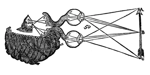 Rene Descartes idé om syn, som viser funksjonen til øyet, synsnerven og hjernen, 1692