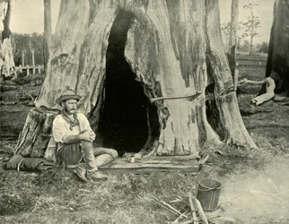 Hvile, 1901.