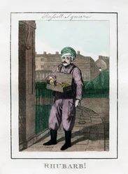Rabarbra, Russell Square, London, 1805