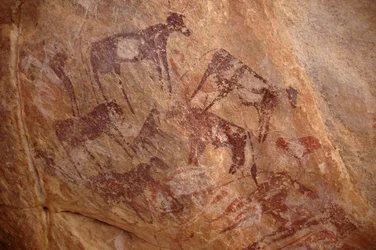 Bergkunst, forhistorie: Maleri av en gruppe storfe og karakterer i et utsmykket ly, i Uweinat-massivet, Sudan (Karkur-Talh eller Karkur Talh). Periode fra 8000 til 3000 år f.Kr. Fotografering