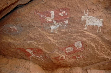 Bergkunst, forhistorie: Bergmaleri av en gruppe storfe og sauer i et utsmykket ly, i Uweinat-massivet, Sudan (Karkur-Talh eller Karkur Talh). Periode fra 8000 til 3000 år f.Kr. Fotografering