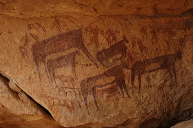 Bergkunst, forhistorie: Bergmaleri av en gruppe storfe inkludert et knær og en gruppe karakterer inkludert bueskyttere i et utsmykket ly, i Uweinat-massivet, Sudan (Karkur-Talh eller Karkur Talh). Periode fra 8000 til 3000 år f.Kr. Fotografering