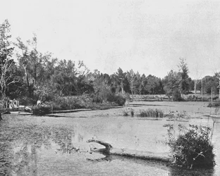 Scene i Mississippi, USA, ca 1900.
