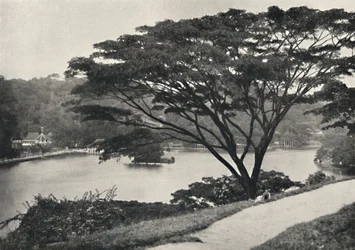 Lake, Temple of the Sacred Tooth Reed og bibliotek i Kandy, sett øst fra Victoria Drive, 192
