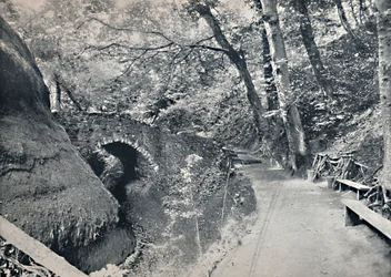 Shanklin - The Chine, 1895