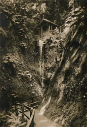 Shanklin Chine, I.W., c1920.