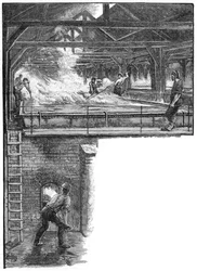 Måke salt ved South Durham Salt Works, 1884