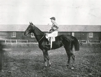 Skyskraper, 1911.