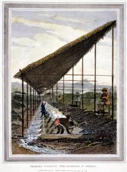 Slaver som vasker for diamanter overvåket av veiledere med pisk, Brasil, 1815