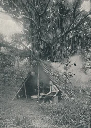 Røykegummi, 1916