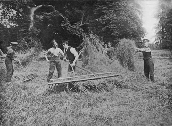 Soldater som hjalp bøndene ved å komme inn i høyet, 1915