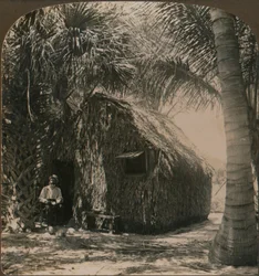 Thatched Cottage i Cocoanut Grove, Florida, U.S.A., c1900