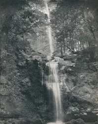Emu Vale-fossen, 1800-tallet
