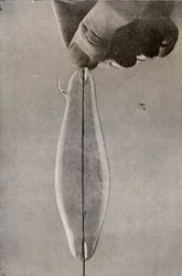 Den første elektriske glødelampen, c1916
