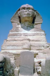 Den store sfinksen i Giza, Giza-platået, Egypt