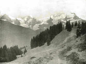 Jungfrau og hennes naboer, Sveits, 1895.