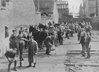 Den nye hæren under trening ved Farriers School, 1915