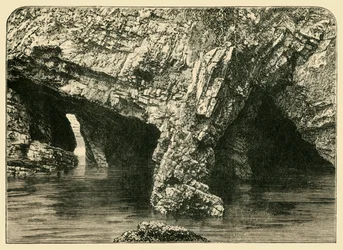 De syv buene, 1898.