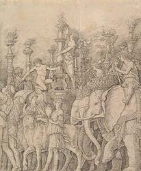 Cæsars triumf: elefantene, ca. 1484-92.
