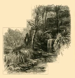 The Tropical Gardens, Battersea Park, c1878.
