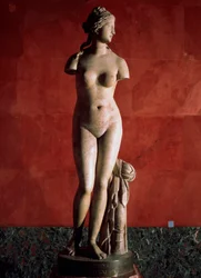 Venus Tauride eller Venus of Tauris, 2. århundre e.Kr