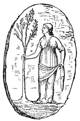 Gudinnen Minerva holder et ungt oliventre