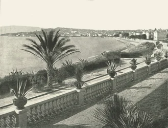 Panorama av La Croisette, Cannes, Frankrike, 1895.