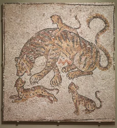 Tigress and Cubs, 300-tallet.