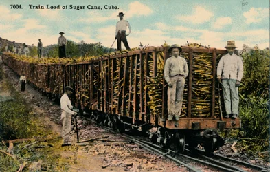 Toglast med sukkerrør forlater feltet, Cuba, 1915