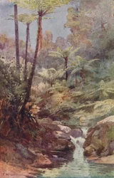 Trebregner, 1923.
